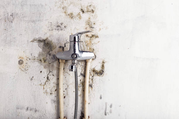 Water Damage Restoration in Yosemite Lakes, CA