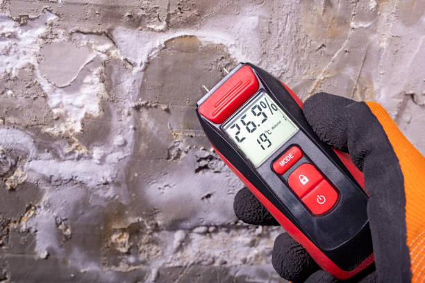 Best Same-Day Mold Removal  in Yosemite Lakes, CA