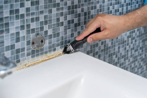 Trusted Yosemite Lakes, CA Mold Removal Experts
