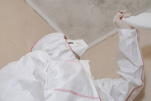 Yosemite Lakes, CA Mold Removal Company