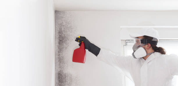 Best Residential Mold Removal  in Yosemite Lakes, CA