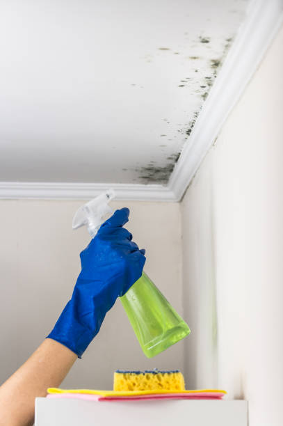 Best Crawl Space Mold Removal  in Yosemite Lakes, CA